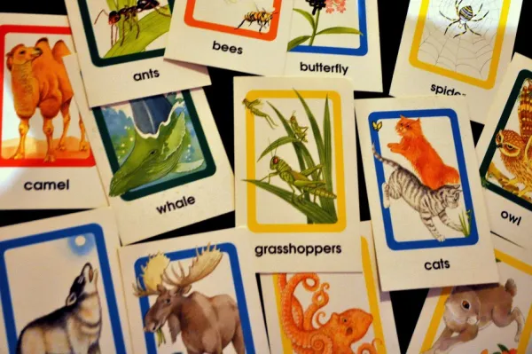 apprendre les langues